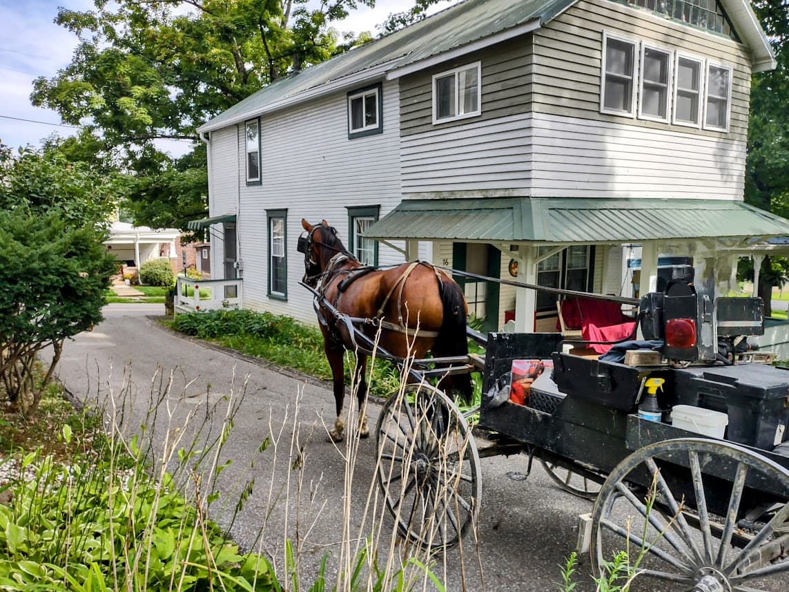 Photo Gallery Epworth Park